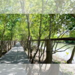 Aklan Vibrant Kalibo Tour (Half Day) - Who Will Appreciate This Tour?