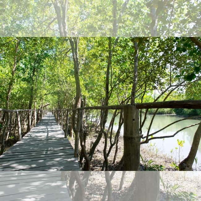 Aklan Vibrant Kalibo Tour (Half Day) - Who Will Appreciate This Tour?