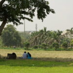Akshardham Temple with Walk in the Green Paradise of Rajghat and Shanti Van - Practical Details and What to Expect