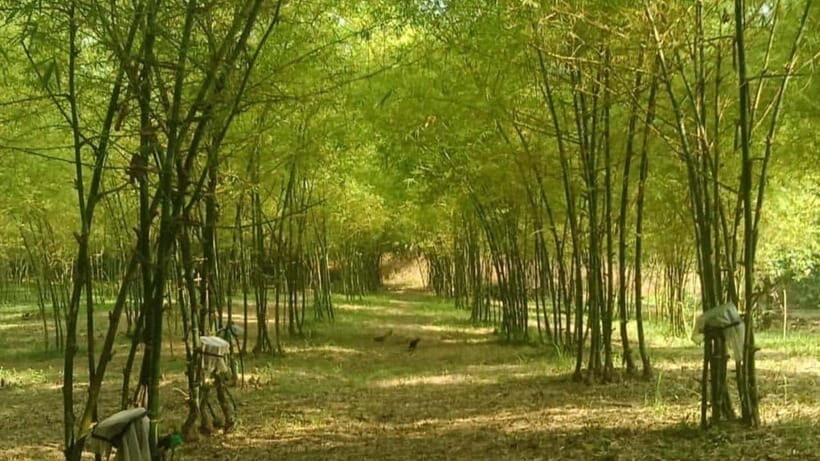 Albay Bicol Full Day Join-In-Tour by ZCHEDULISTA - Why This Tour Offers Great Value