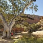 Alice Springs: Larapinta Hiking Trail 5 Day Adventure Safari - Practical Details and Value