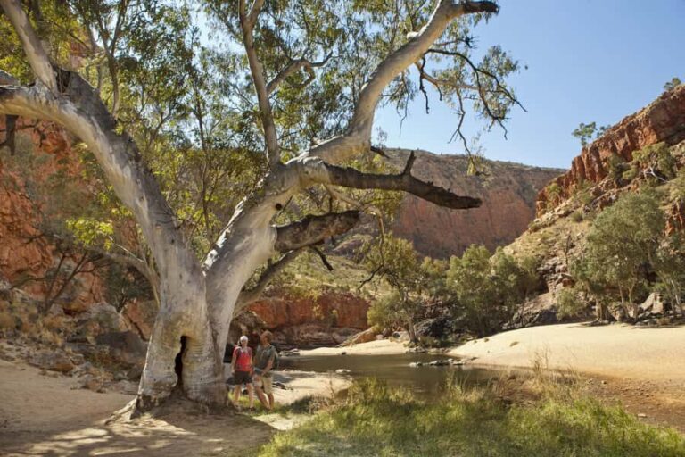 Alice Springs: Larapinta Hiking Trail 5 Day Adventure Safari - Practical Details and Value