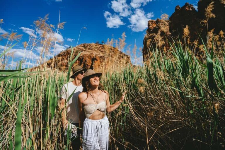 Alice Springs: West MacDonnell Ranges Day Tour with Lunch - Practical Details & What to Know