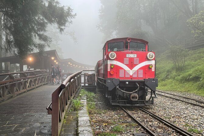 Alishan Day Tour from Chiayi (Incl. Park Entrance) - Exploring the Alishan Day Tour: A Deep Dive