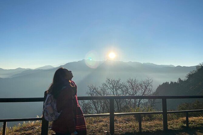 Alishan National Forest Recreation Area Ticket by Zhushan Line - Practicalities & Tips