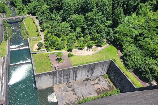 All Attack on Titan Sites and Forest Adventure Private Tour - A Detailed Look at the Tour