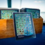 All-Day Paddleboard Rental  Fajardo, Puerto Rico - What’s Included