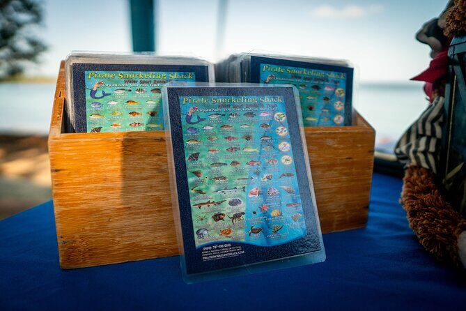 All-Day Paddleboard Rental  Fajardo, Puerto Rico - What’s Included