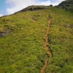 All-Inclusive 2-day Night Camping Tour on Mountain from Colombo - What’s Included and What’s Not?