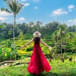 All Inclusive Bali ATV with Rice Terraces, Swing and Waterfall - A Walk Through the Iconic Tegalalang Rice Terraces