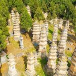 All-inclusive Customized Luoyang Layover Tour with Shaolin Temple - Detailed Breakdown of the Itinerary