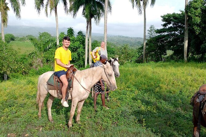 All Inclusive Full Day Truck Safari - Final Thoughts: Is It Worth It?