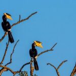 All Inclusive Half Day Private Safari at Bundala National Park - The Value of This Safari Experience