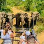 All Inclusive Hurulu Eco Park 3 Hour Elephant Safari Tour - What Sets This Tour Apart?