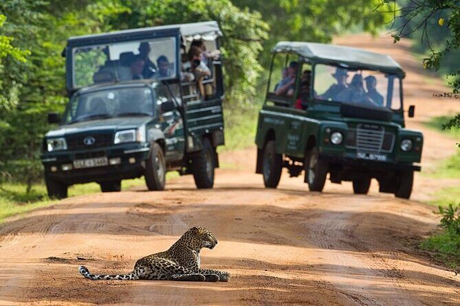 All inclusive leopard safari Wilpattu with guide - Itinerary Breakdown: What to Expect
