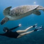 All Inclusive Nusa Penida Snorkeling Tour with Visit West Island - What’s Included and What’s Not
