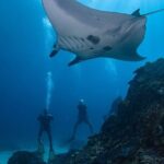 All Inclusive Nusa Penida Snorkeling Tour with Visit West Island - Practical Details and What You Should Know