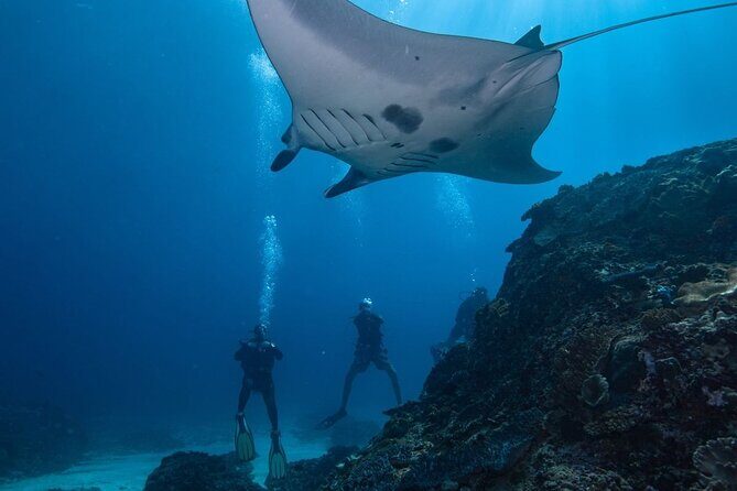 All Inclusive Nusa Penida Snorkeling Tour with Visit West Island - Practical Details and What You Should Know