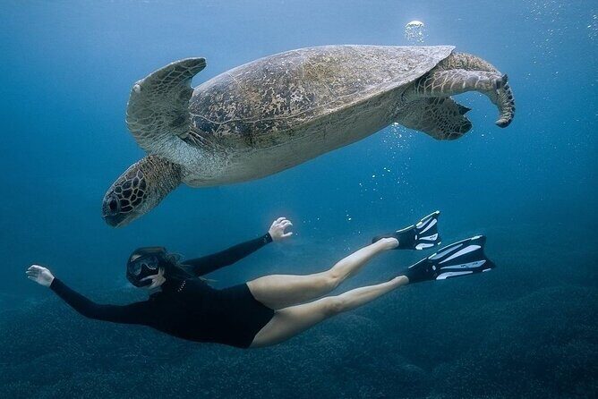 All Inclusive Nusa Penida Snorkeling Tour with Visit West Island - What’s Included and What’s Not