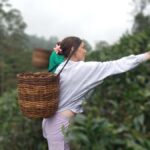 All-Inclusive Nuwara Eliya Tuk-Tuk Tour: Tea & Waterfalls - Final Thoughts: Is This Tour Worth It?