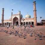 All Inclusive Old and New Delhi Fullday or Halfday Tour - Why This Tour Offers Great Value