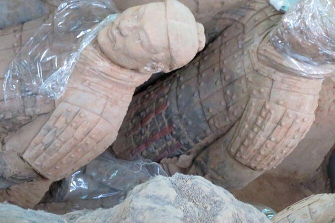 All Inclusive Private Guided Half-day Tour to the Terra Cotta Warriors Museum - Why Choose This Tour?