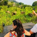 All Inclusive Private Safari at Habarana Park (Pick-up Included) - Who Should Consider This Safari?