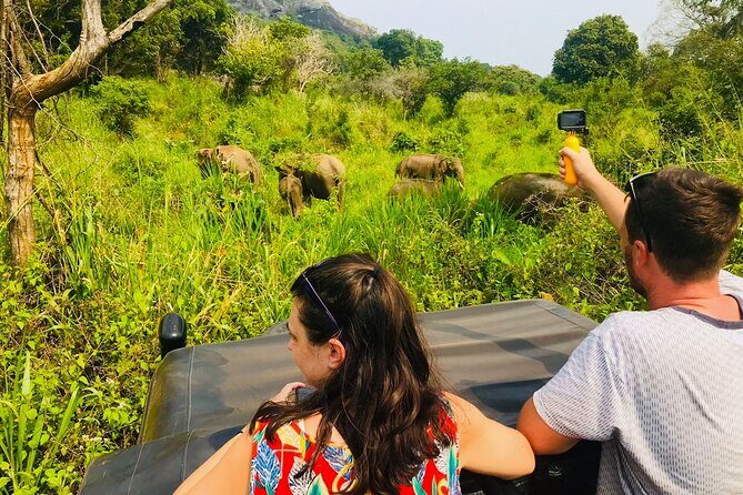 All Inclusive Private Safari at Habarana Park (Pick-up Included) - Who Should Consider This Safari?