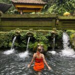 All-Inclusive Rice Terrace, Waterfall, and Temple Day Tour - Authentic Experiences and Guest Insights