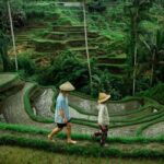 All-Inclusive Rice Terrace, Waterfall, and Temple Day Tour - An In-Depth Look at the Tour