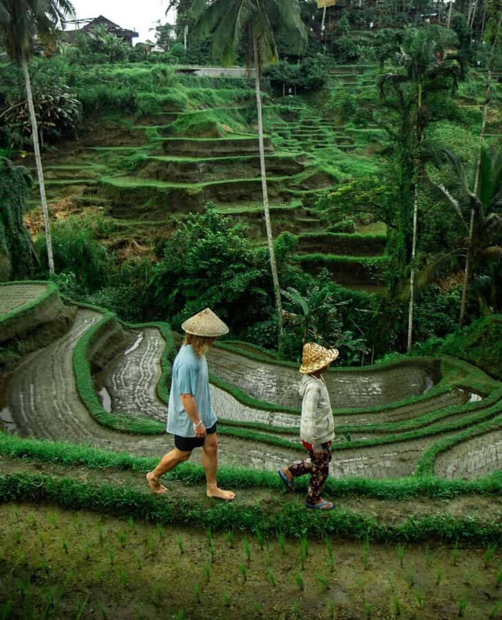 All-Inclusive Rice Terrace, Waterfall, and Temple Day Tour - An In-Depth Look at the Tour