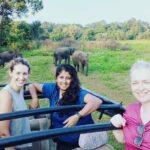 All Inclusive Safari at Minneriya National Park from Polonnaruwa - Who is this tour best suited for?