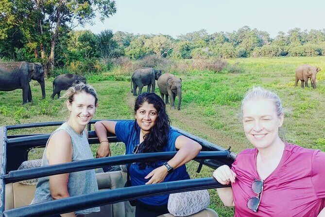 All Inclusive Safari at Minneriya National Park from Polonnaruwa - Who is this tour best suited for?  