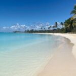 All Inclusive Saona Private Boat Tour from 165 USD p/P - Who Will Love This Tour?