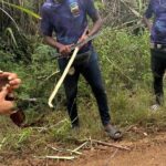 All Terrain Buggy Adventure in Bayahibe - Who Should Consider This Tour?