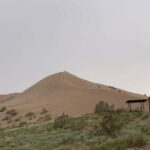 Almaty: Altyn-Emel National Park Day Trip with Guide - Good To Know