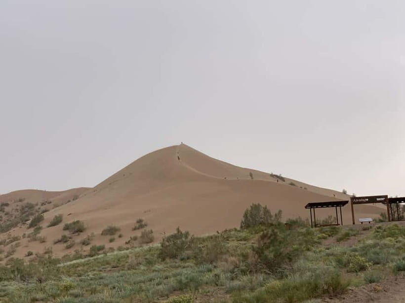 Almaty: Altyn-Emel National Park Day Trip with Guide - Good To Know