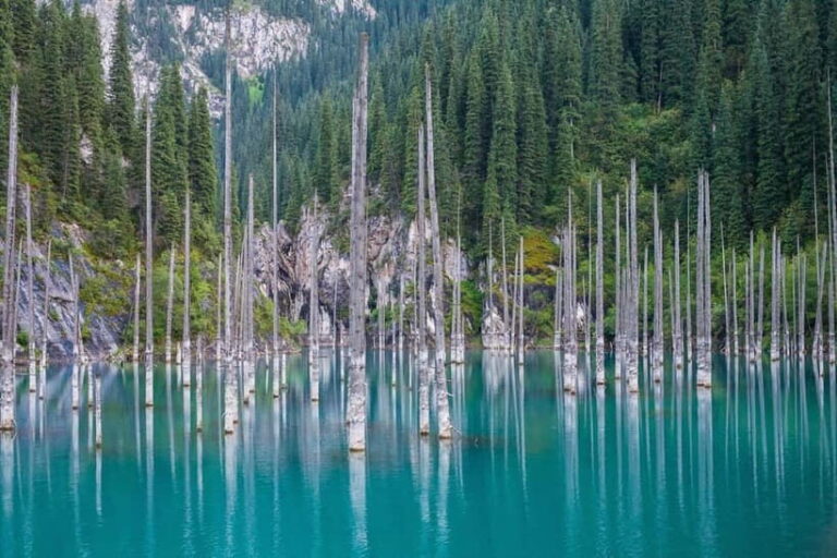 Almaty: Charyn Canyon, Kolsai & Kaindy Lakes Tour - The Guide and Personal Touch