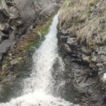 Almaty: Falconry show and Big Almaty Gorge - The Wild Hunting Birds Show – A Swoon-Worthy Spectacle