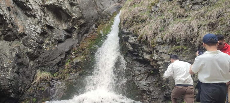 Almaty: Falconry show and Big Almaty Gorge - The Wild Hunting Birds Show – A Swoon-Worthy Spectacle