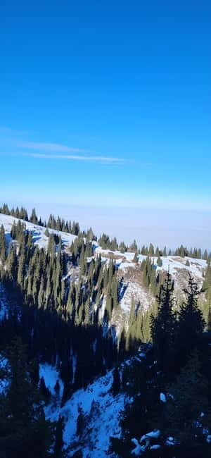 Almaty: Kim Asar Mountains and Waterfall Hiking Tour - What to Expect and Practical Tips