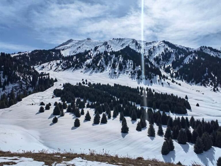 Almaty: Moderate hiking to Kok Zhailau - What to Expect During the Hike