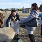Alpaca Farm Tours with Toffeemont - The Practical Side: Booking, Price, and Tips