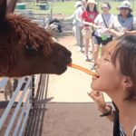 Alpaca Feeding with Wildlife Nature Park Visit Private Tour - Who Should Consider This Tour?