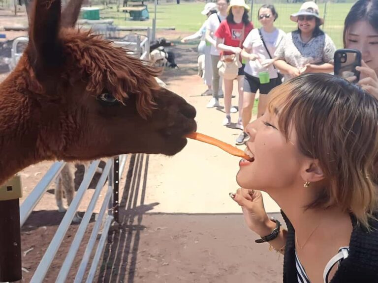 Alpaca Feeding with Wildlife Nature Park Visit Private Tour - Who Should Consider This Tour?