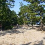 Amanohashidate: Guided Coastal Cycling Tour with Lunch - The Guide and Local Insights