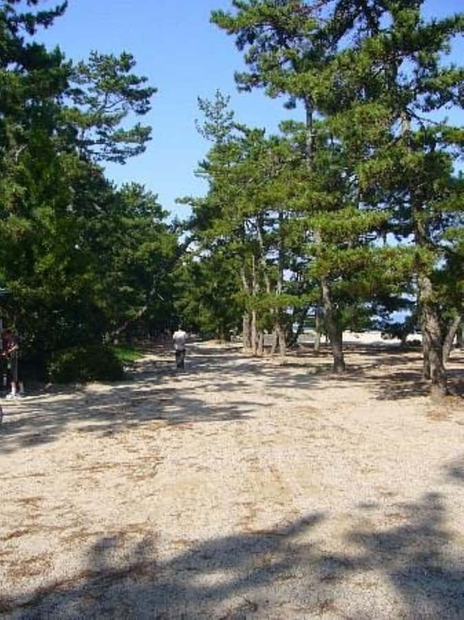 Amanohashidate: Guided Coastal Cycling Tour with Lunch - The Guide and Local Insights