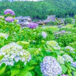Amanohashidate Ine Funaya and Miyama Thatched Village Tour - Detailed Breakdown of the Itinerary