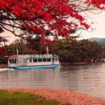Amanohashidate & Miyama 1-Day Bus Tour: From Osaka/Kyoto w/ Lunch - Transportation and Group Size