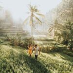 Amazing Kintamani Ubud Tour with Overlook Volcano View - What We Appreciated Most